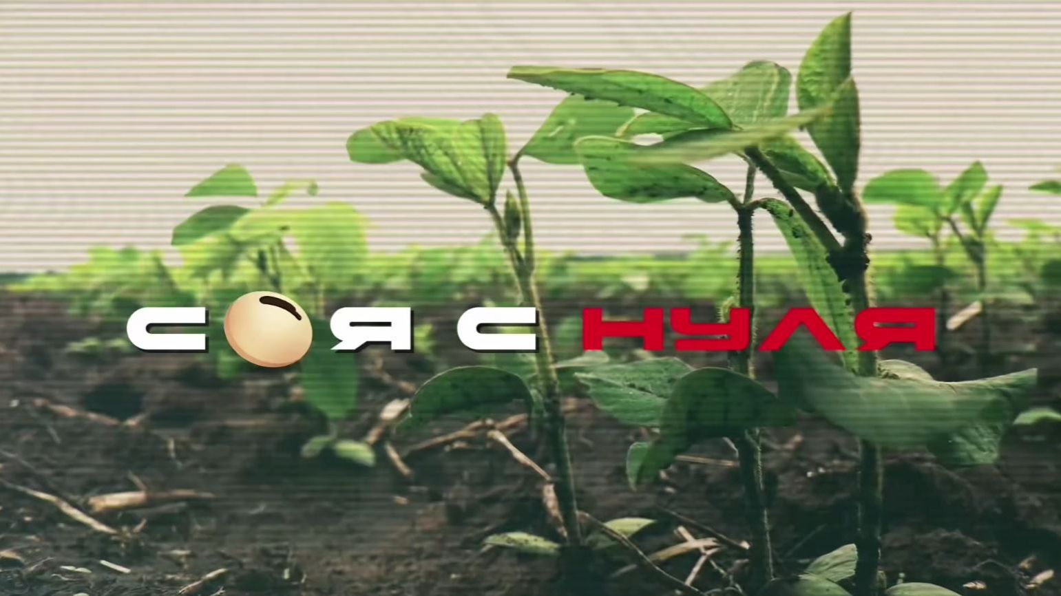 Соя с нуля