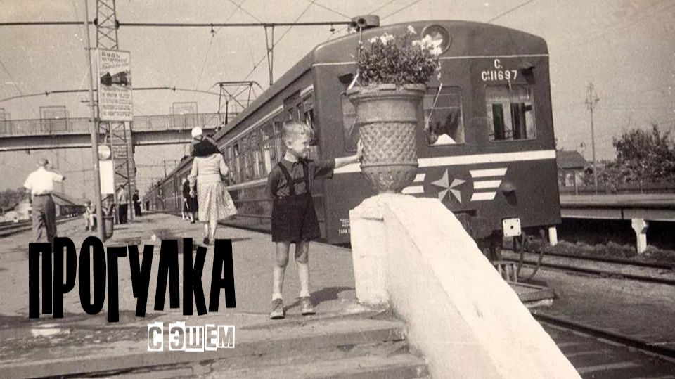 Прогулка с Эшем