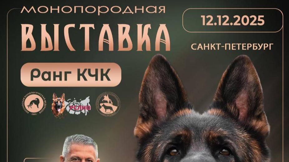 КЧК САНКТ-ПЕТЕРБУРГ 12 декабря`25 SV M.Trajkov Моно немецких овчарок