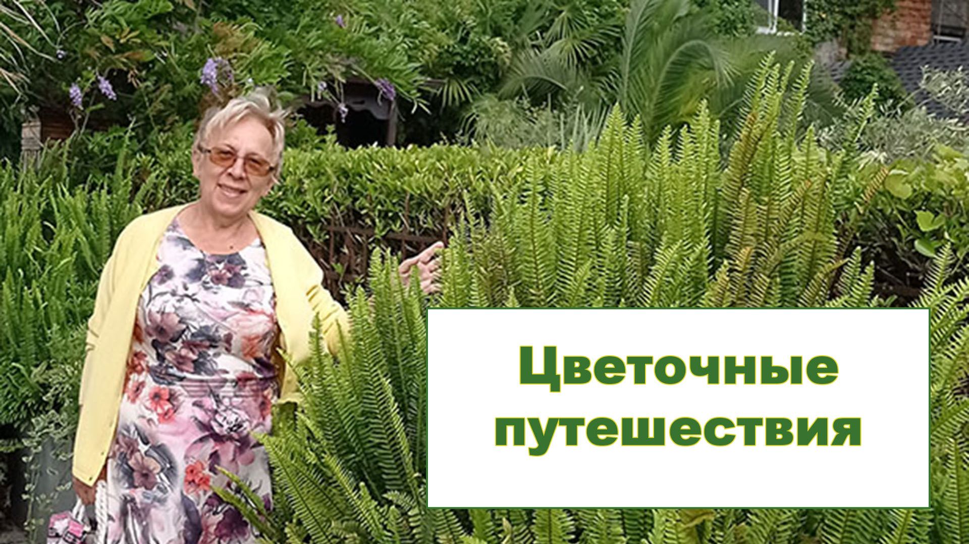 Наши цветочные путешествия