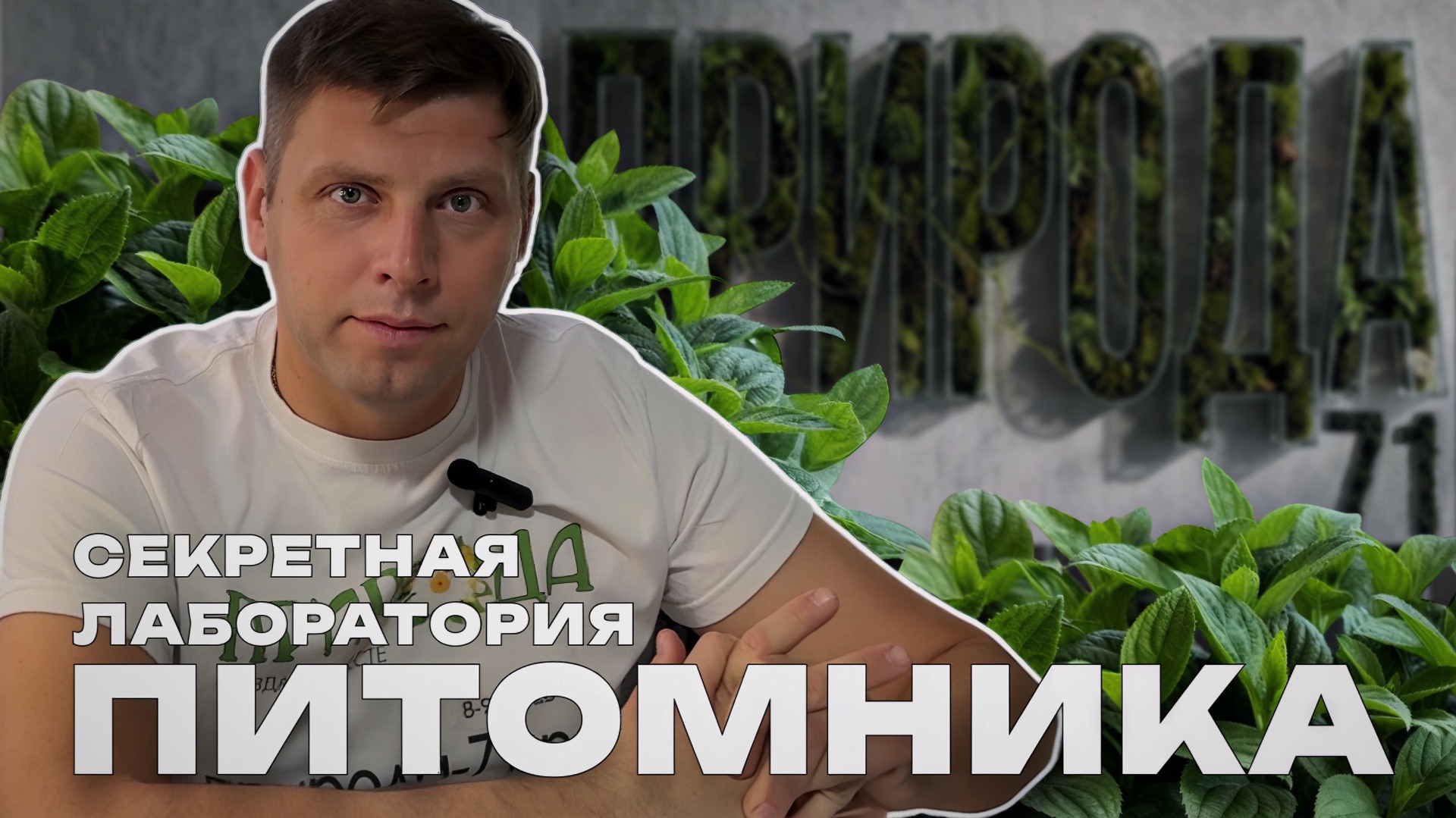 Лабораторный черенок ☘️