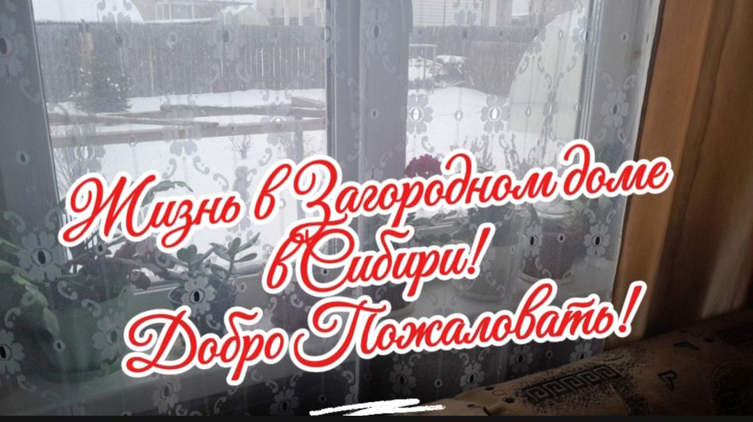 Мой дом и сад 2025