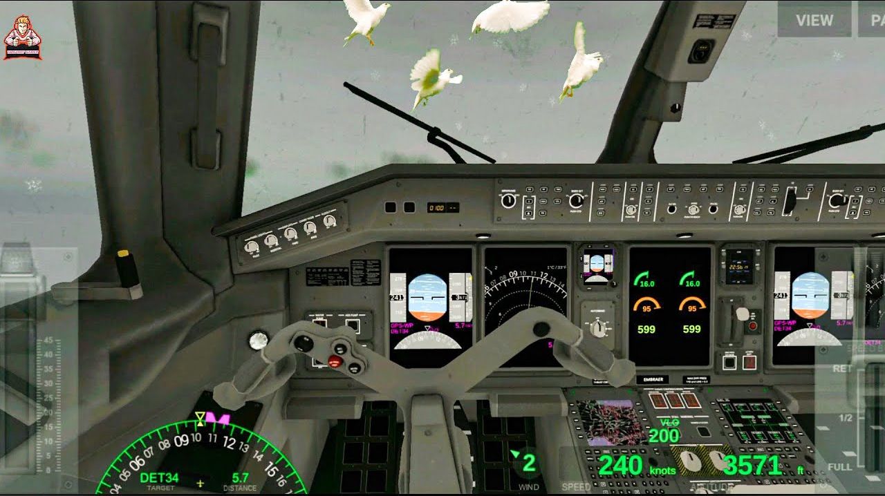 Airline Commander. Flight Experience. 2023-2024 jr.
