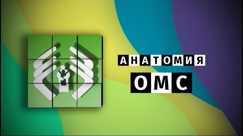 Анатомия ОМС