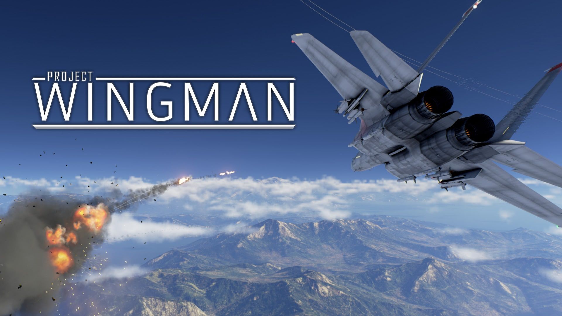 Project Wingman