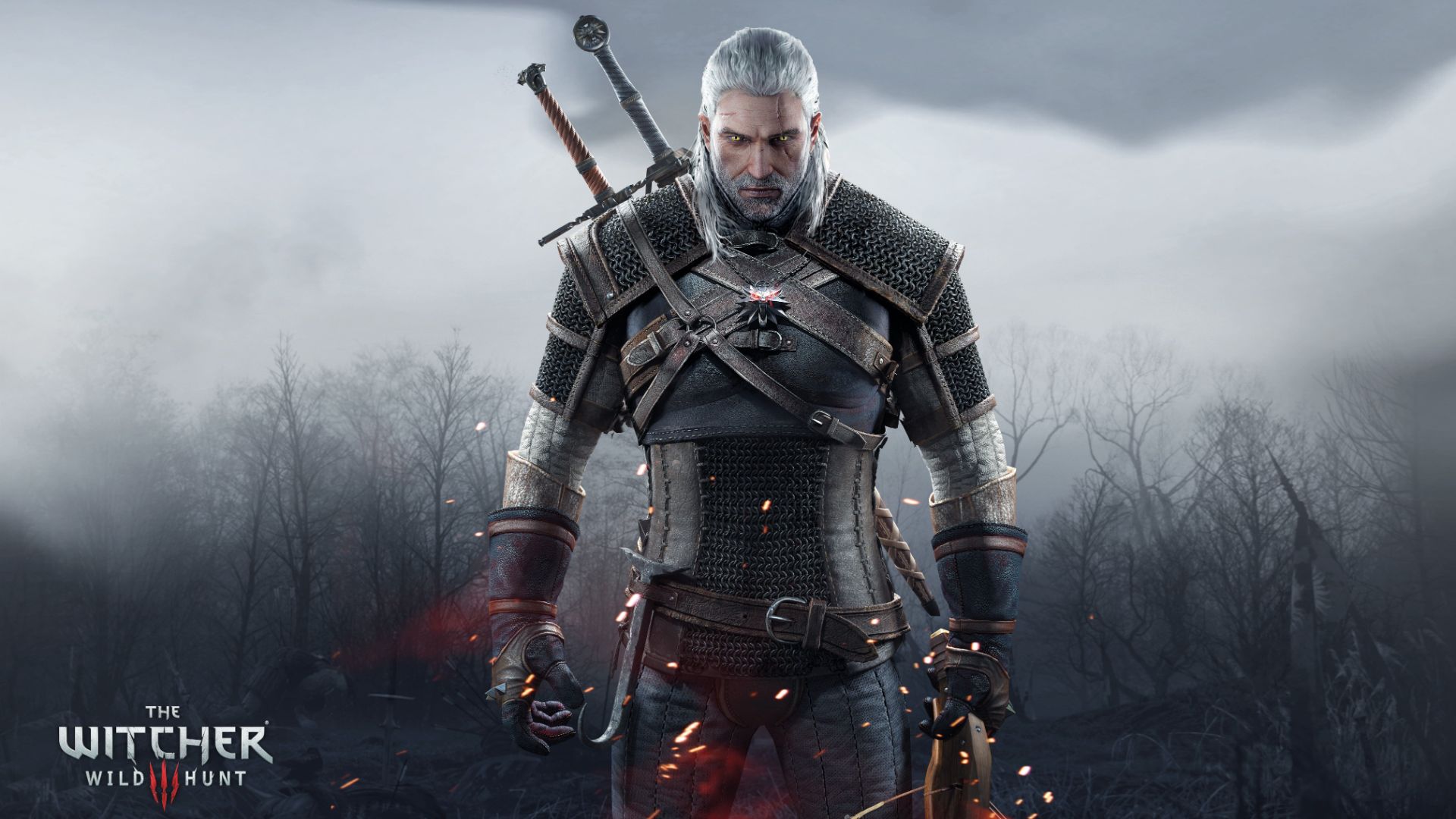 The Witcher 3 Wild Hunt