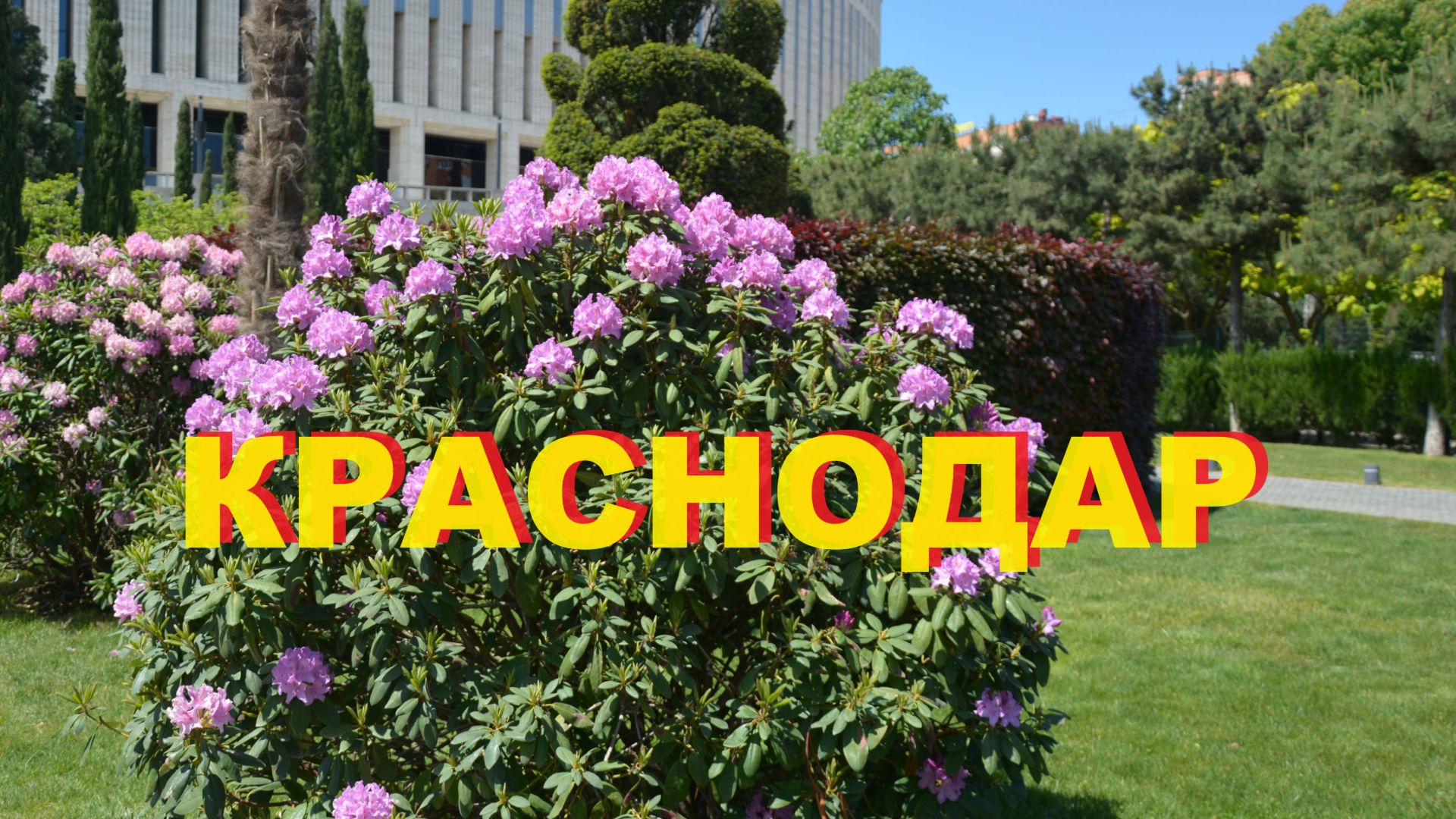 КРАСНОДАР