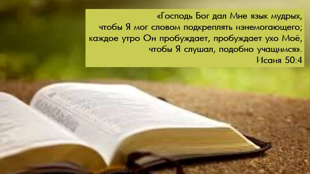 1. Второй шанс для Библии (ВШБ)