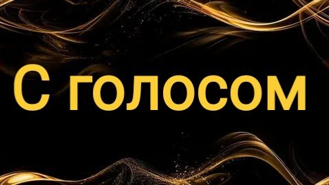 Видео с голосом