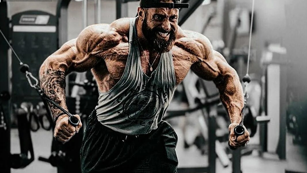 Muscle