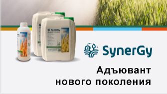 Адъювант Синерджи