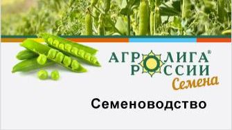 Семена посевного и полевого гороха, яровой пшеницы
