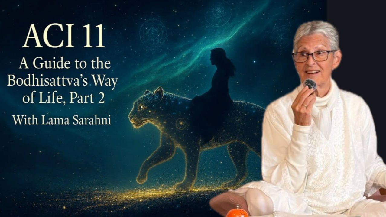ACI 11: Crafting a Purposeful Life («Руководство к образу жизни бодхисаттвы, Часть II»)