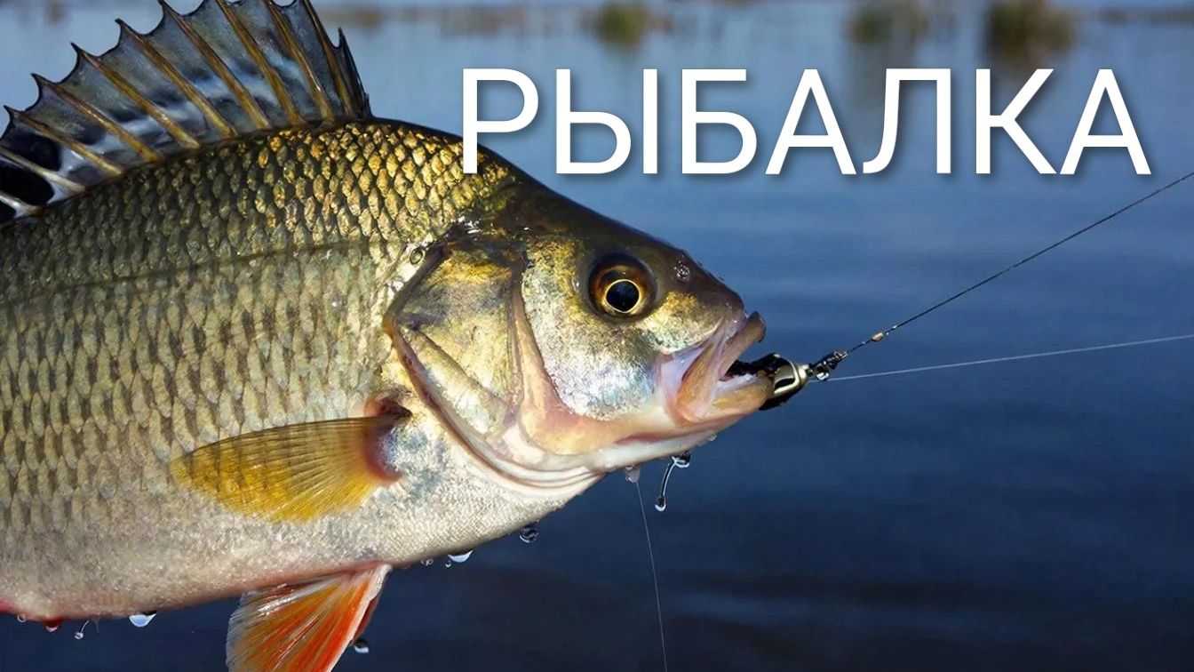 РЫБАЛКА
