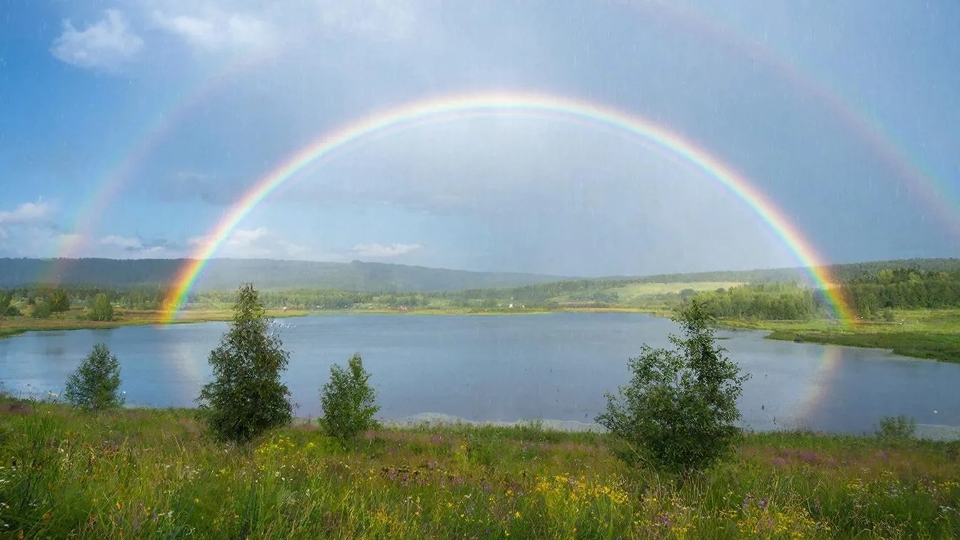 СП Радуга 🌈