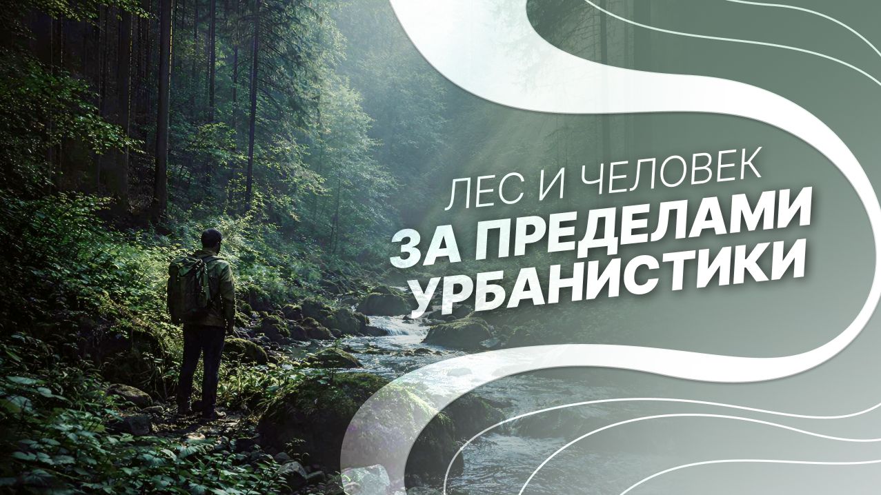 «Лес и человек. За пределами урбанистики»