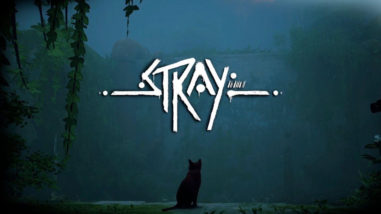 Stray