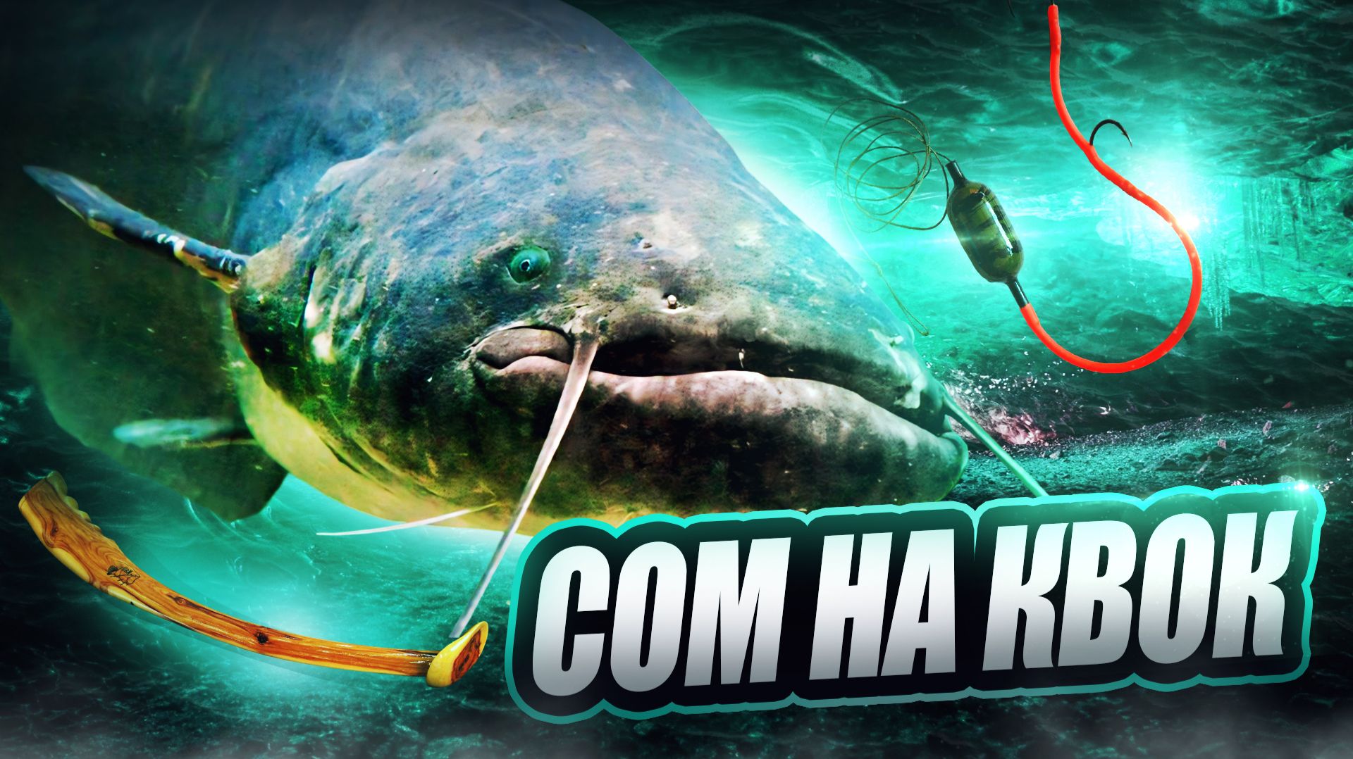 Сом