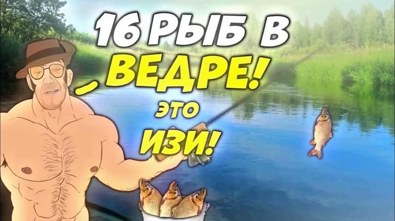 МГЕ Любитель МГЕ Повседневность