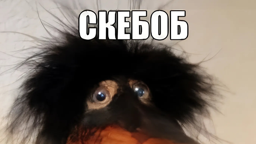 Скебоб