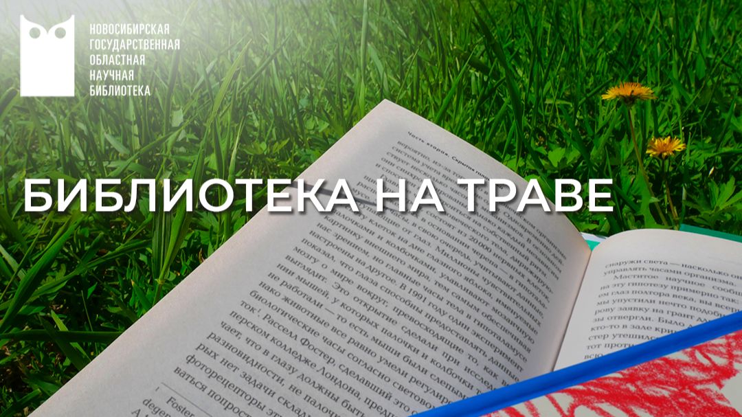 Библиотека на траве