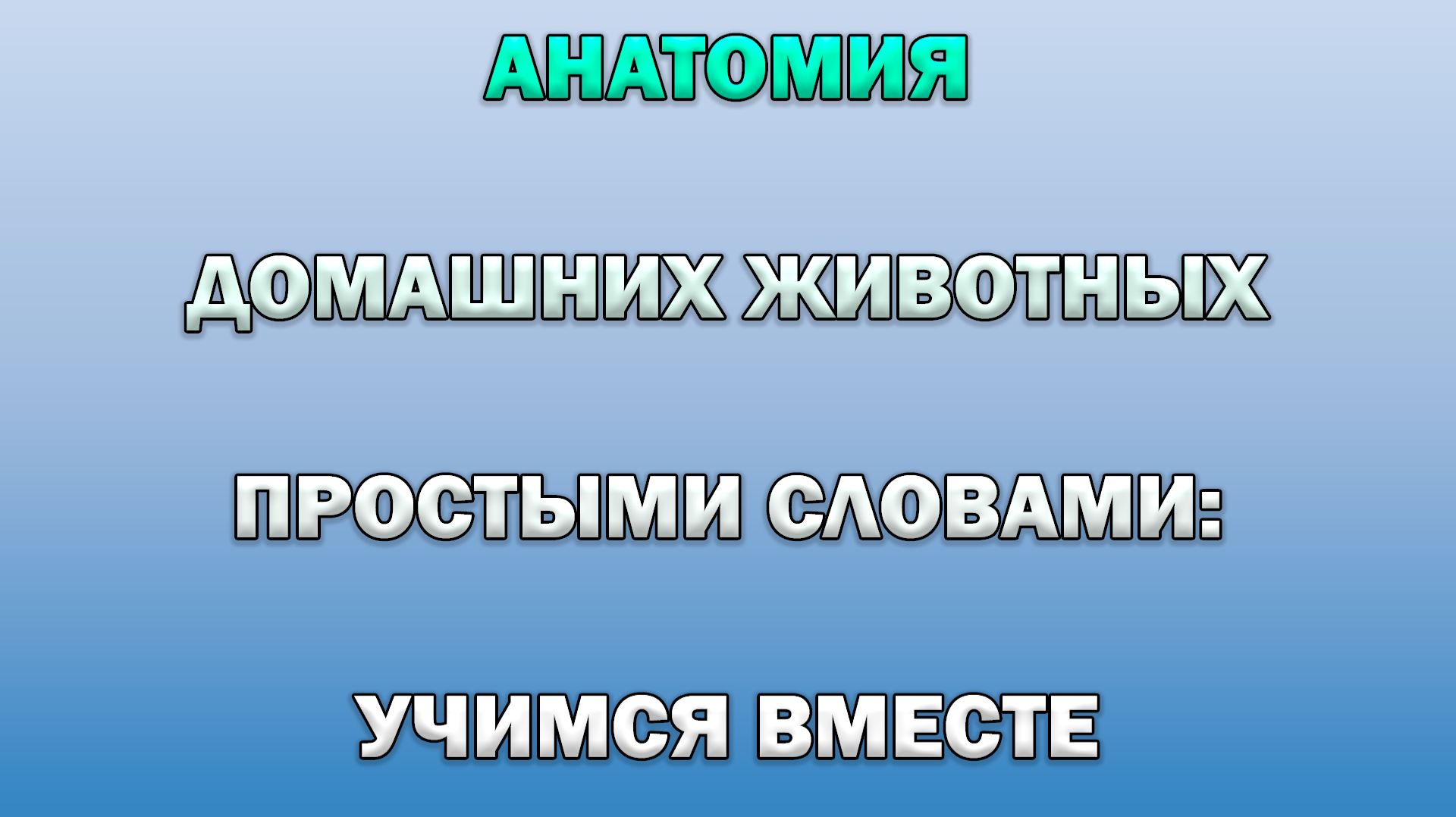 АНАТОМИЯ ДОМАШНИХ ЖИВОТНЫХ ПРОСТЫМИ СЛОВАМИ: УЧИМСЯ ВМЕСТЕ