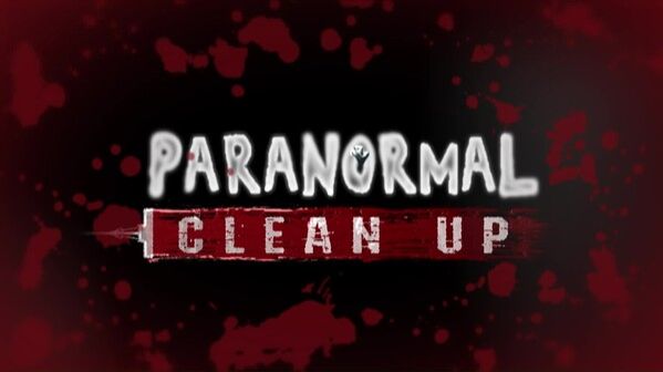 Paranormal Cleanup