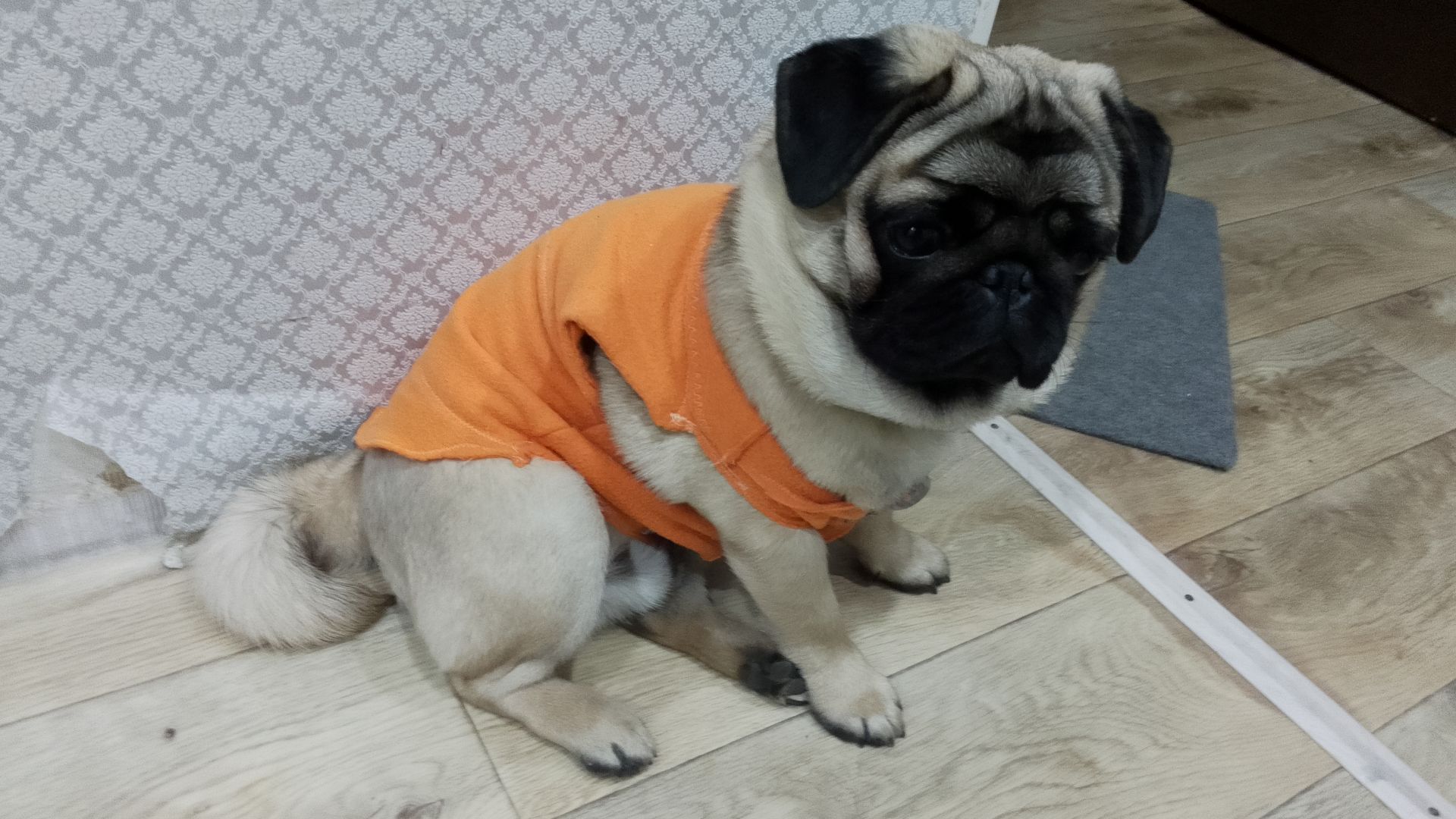 Разное