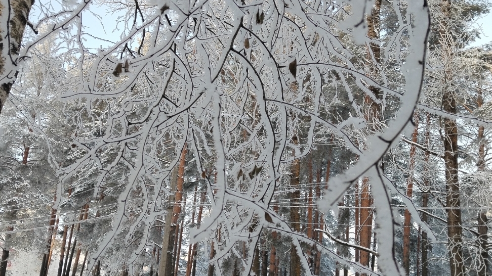 Стримы январь 26 г.