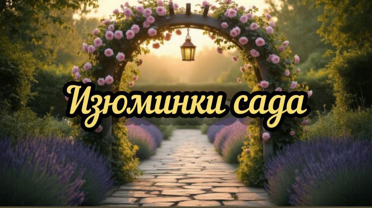 Изюминки моего сада