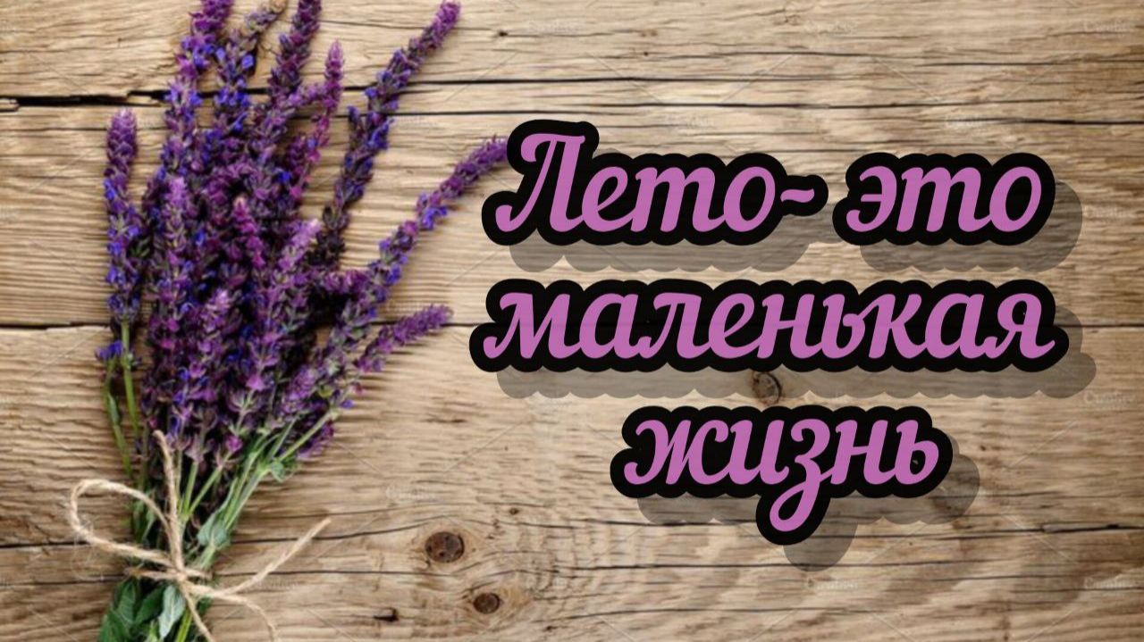 Лето- это маленькая жизнь