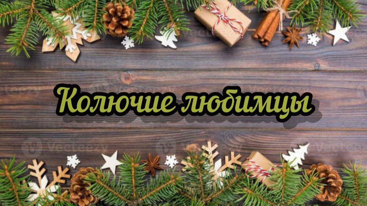 Колючие любимцы