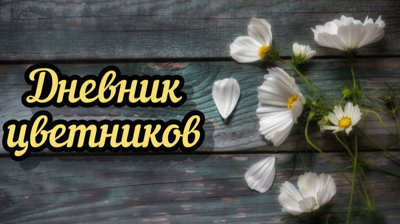 Дневник цветников