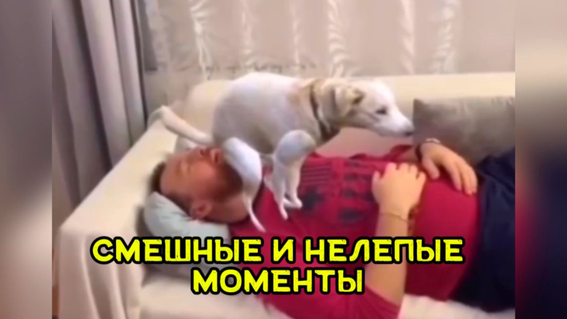 Нелепые и невероятные случаи поднимут настроение