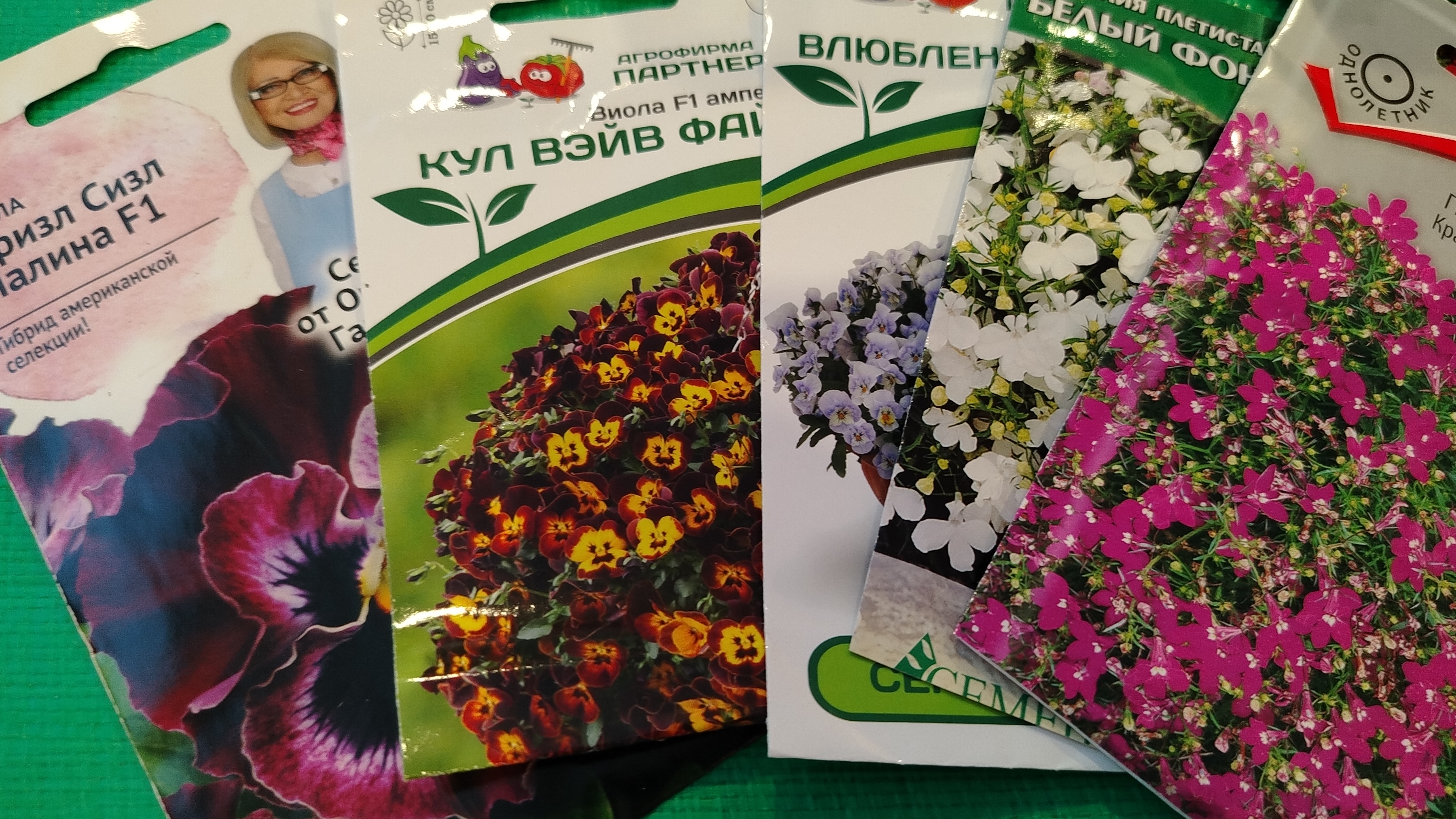 Однолетники в рассаде, выращивание