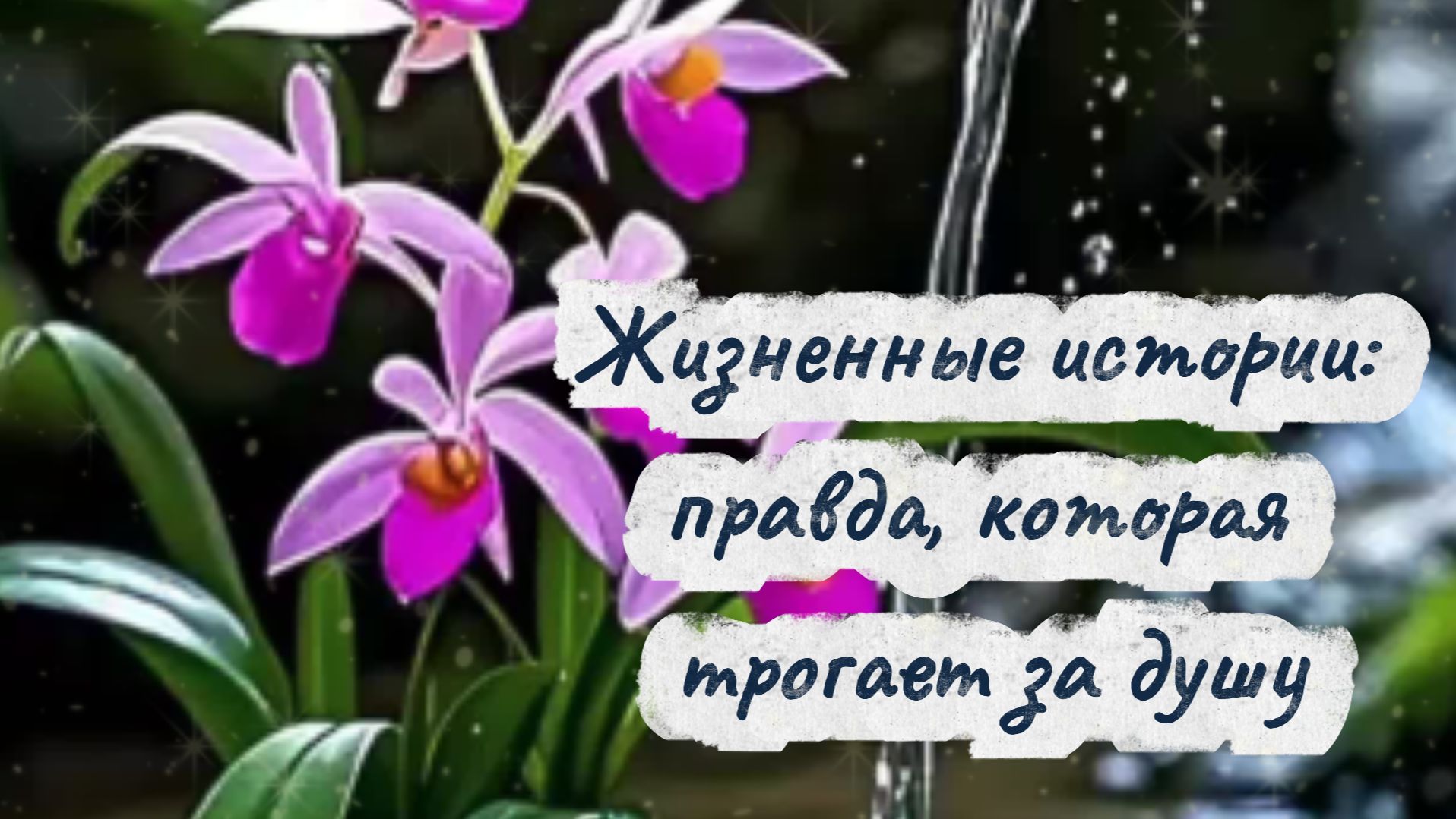 Жизненные истории: правда, которая трогает за душу