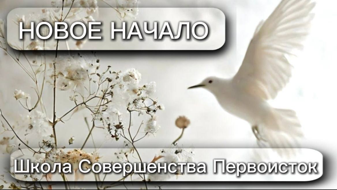НОВОЕ НАЧАЛО
