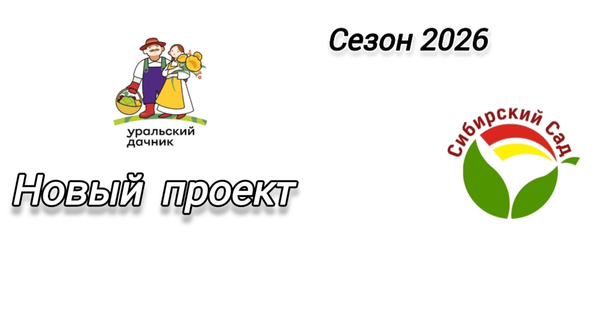 Тестирование семян сезон 2026
