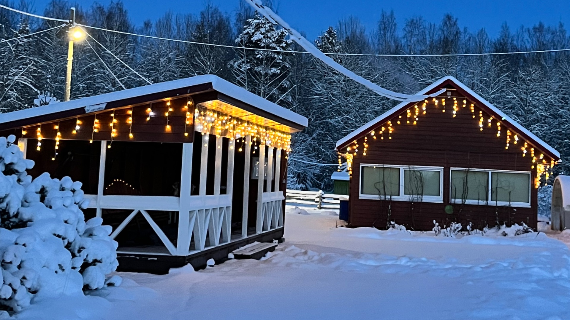 Загородная дачная жизнь