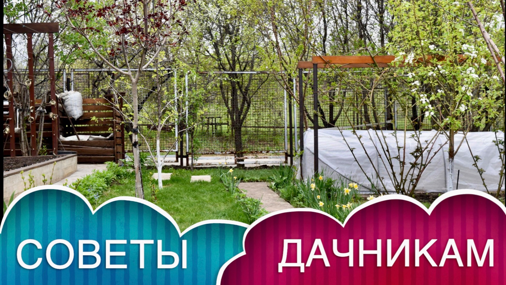 СОВЕТЫ ДАЧНИКАМ