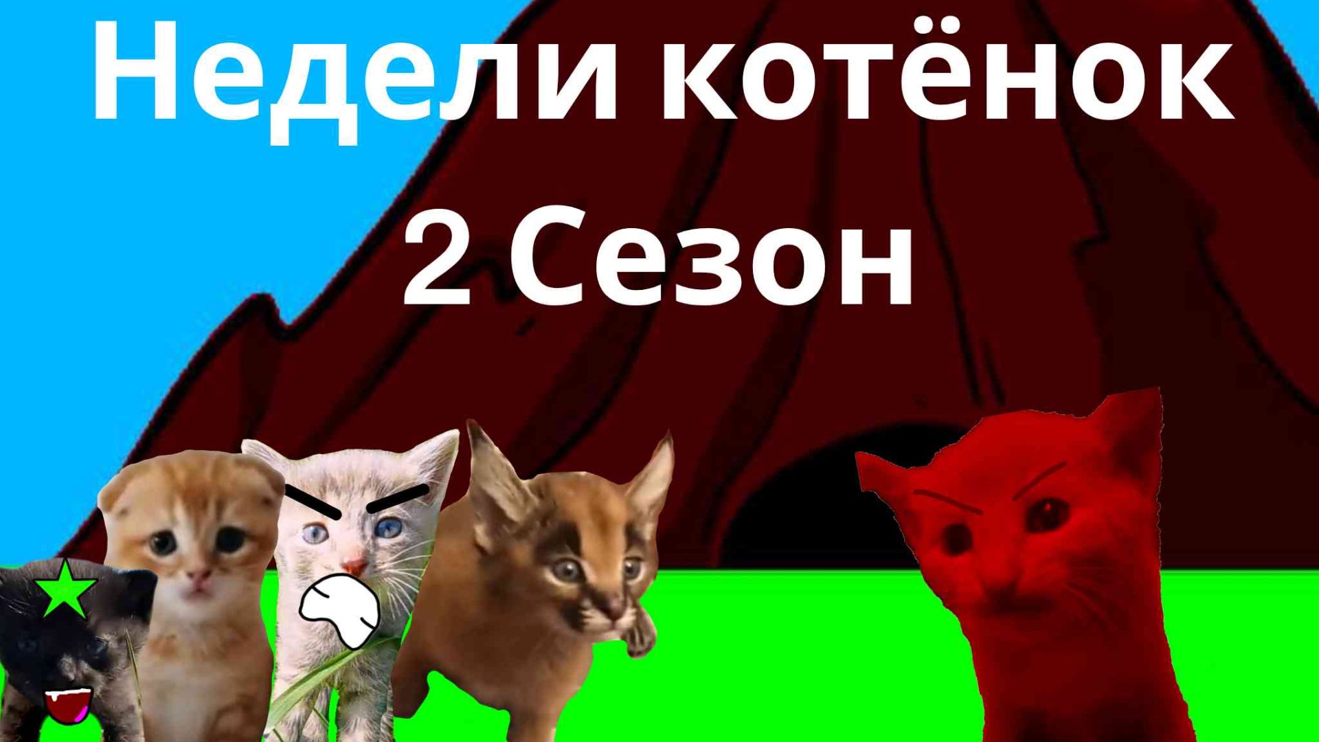 Недели котёнок Сезон 2