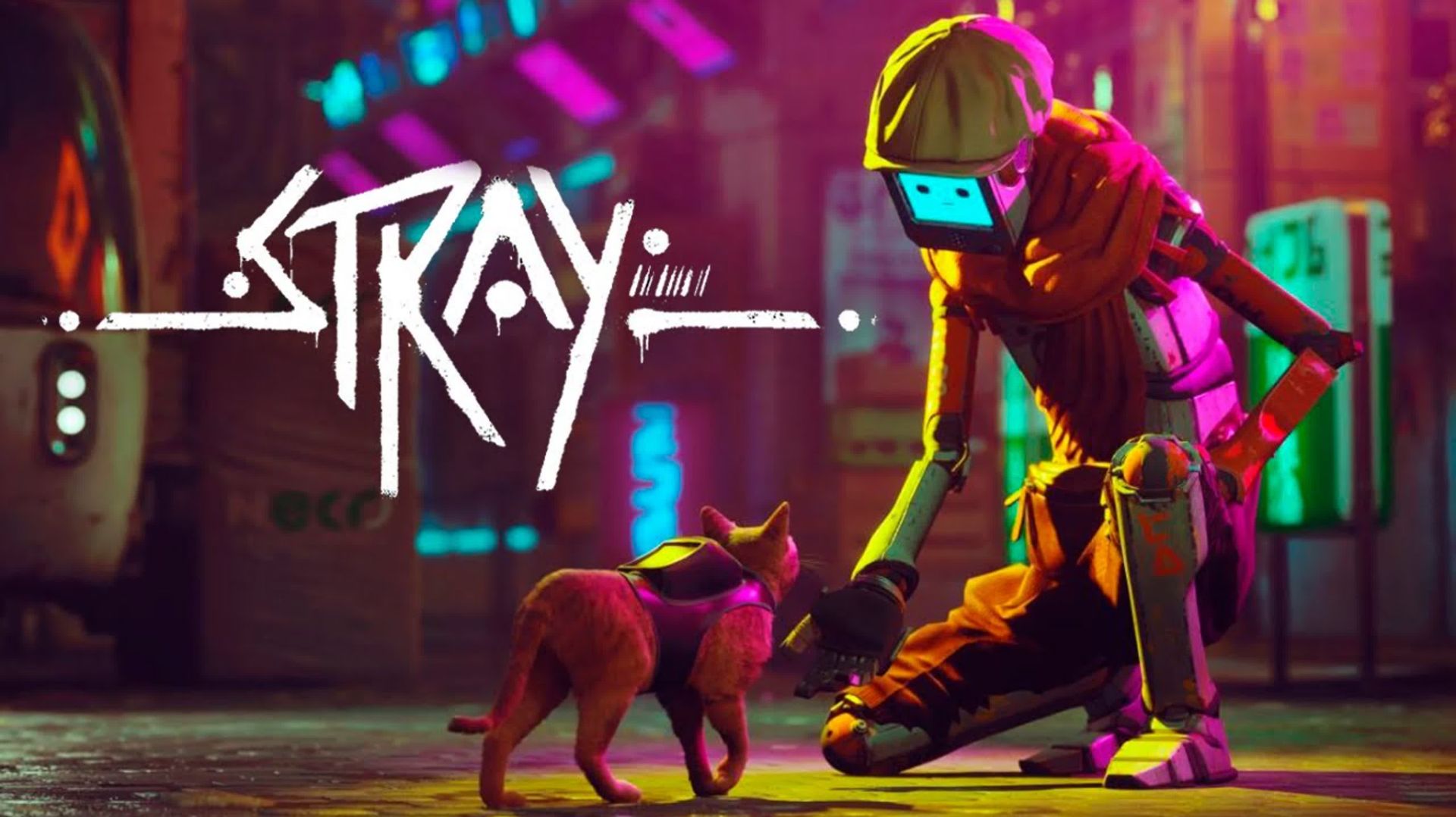Stray