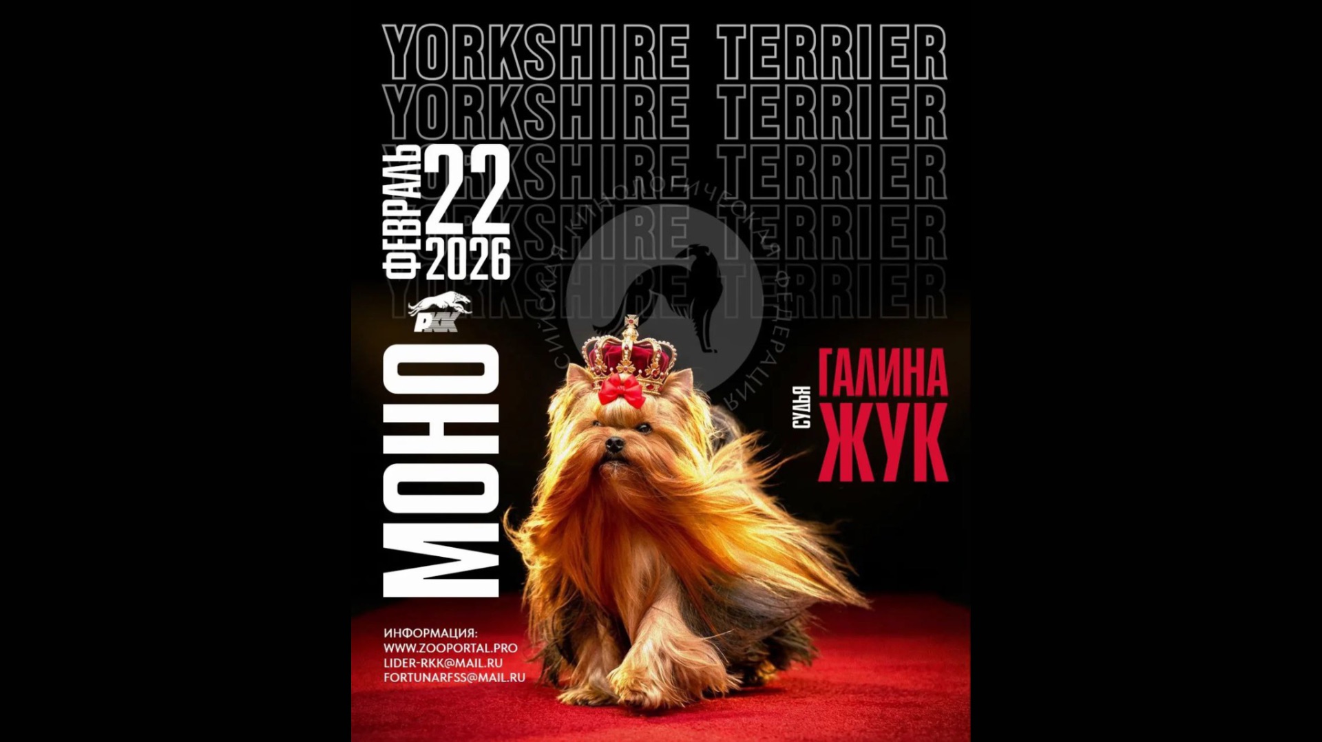Specialty YT Club Show 22.02.2026