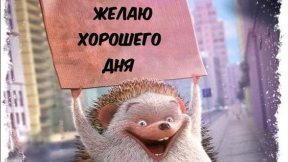 Похвастушки. Чё купила ☺️