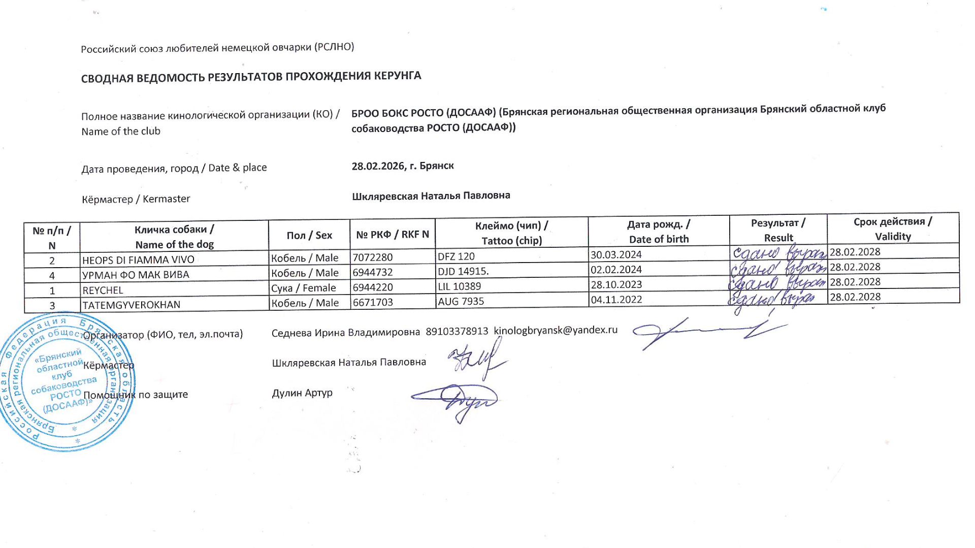 Кёрунг БРЯНСК 28 фев`26 (Н.Шкляревская) 4 собаки