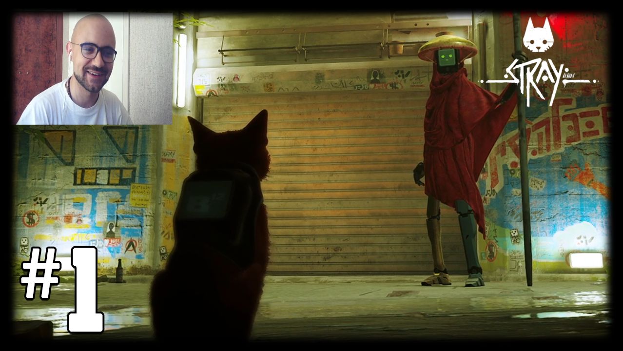 ✅STRAY