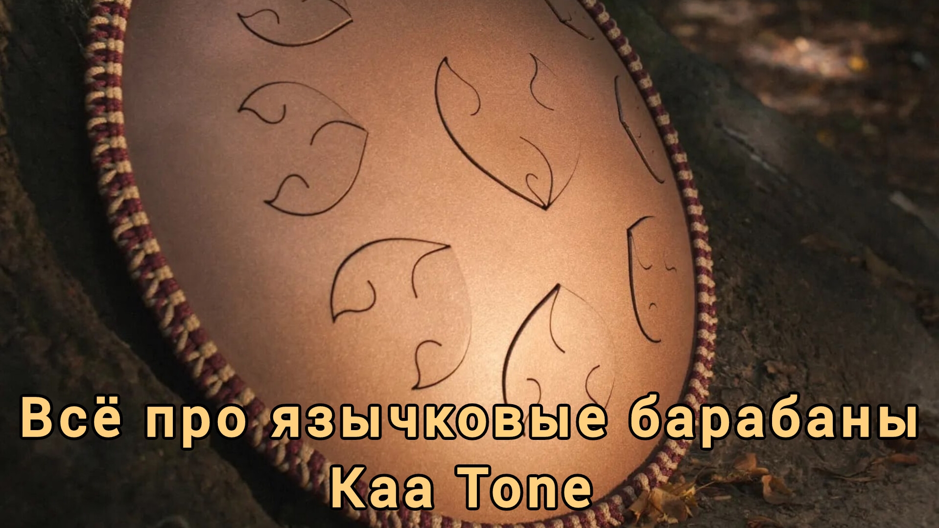 Язычковые барабаны Kaa Tone.