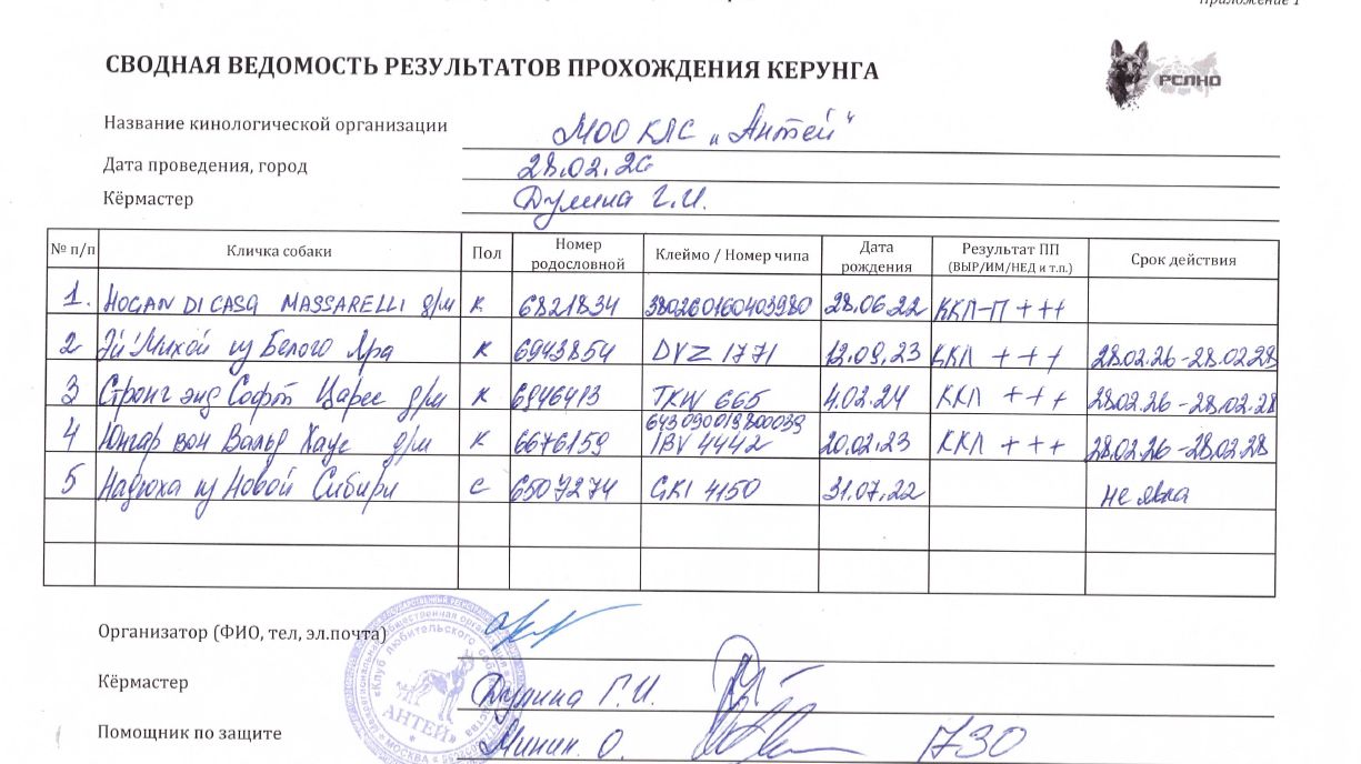 Кёрунг ЭЛЕКТРОСТАЛЬ (МО) 28 фев`26 (Г.Дулина) 5 собак