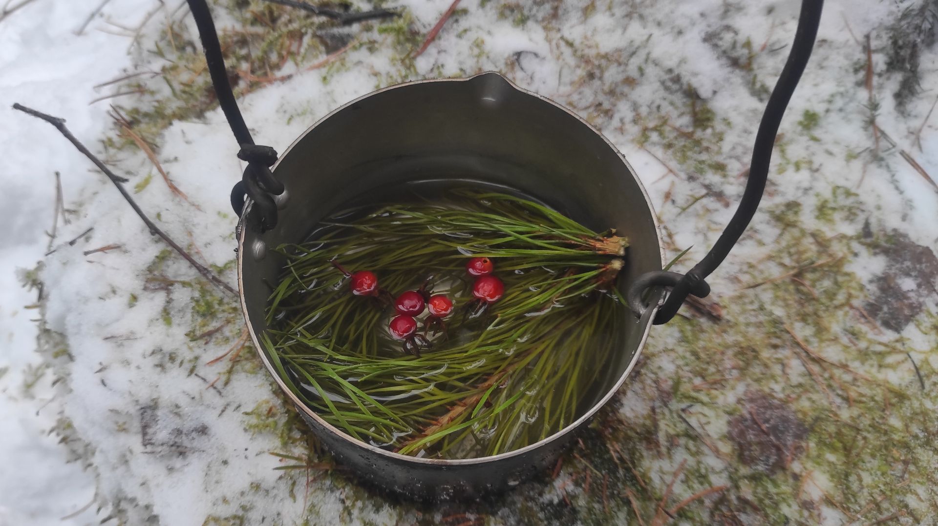 Полевая кухня