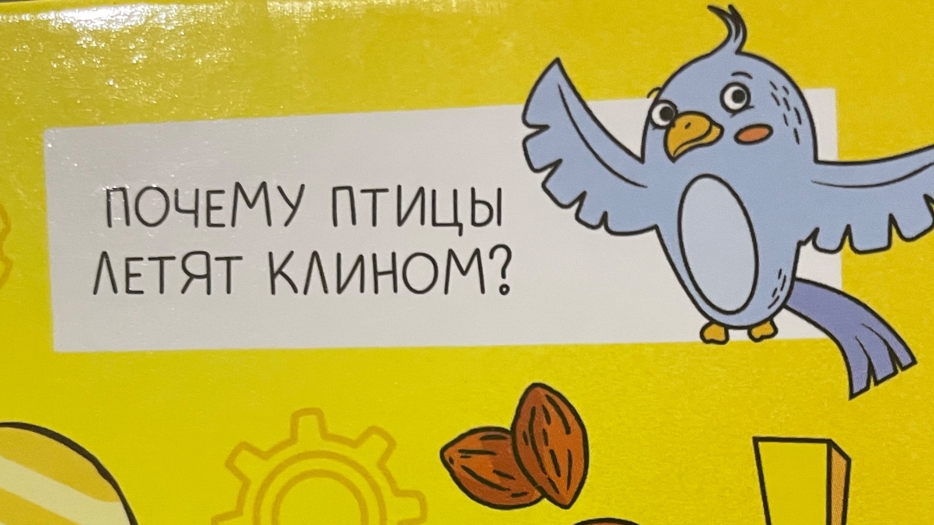 Почемучка с вороной Асей